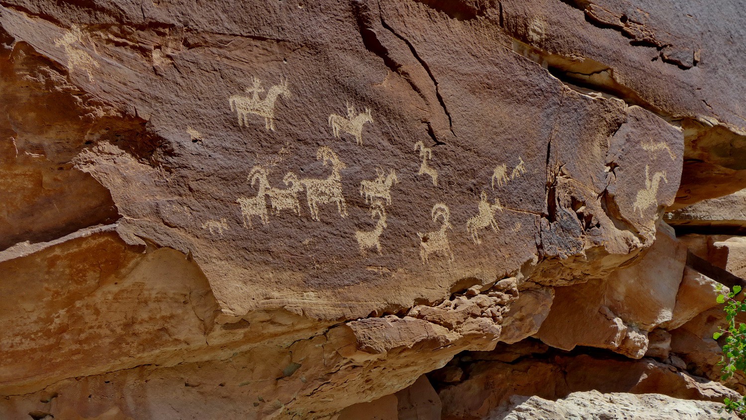 Ute Rock Art carved between 1650 AD and 1850 AD